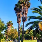 Chrouso 4* Paliouri