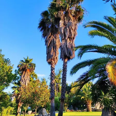 Chrouso * Paliouri