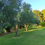 Chrouso Paliouri