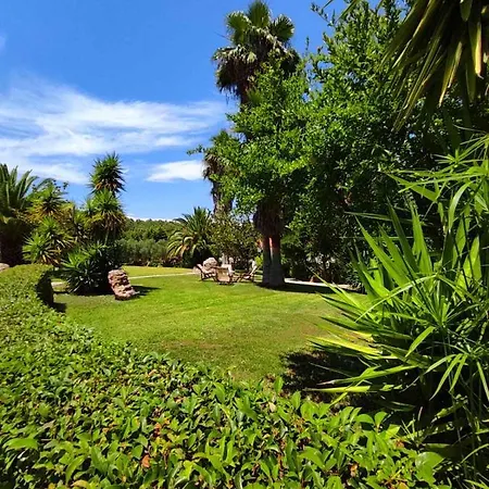 Chrouso Палиури