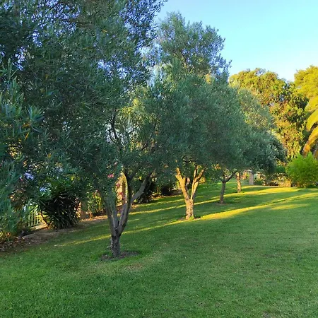 Chrouso Палиури